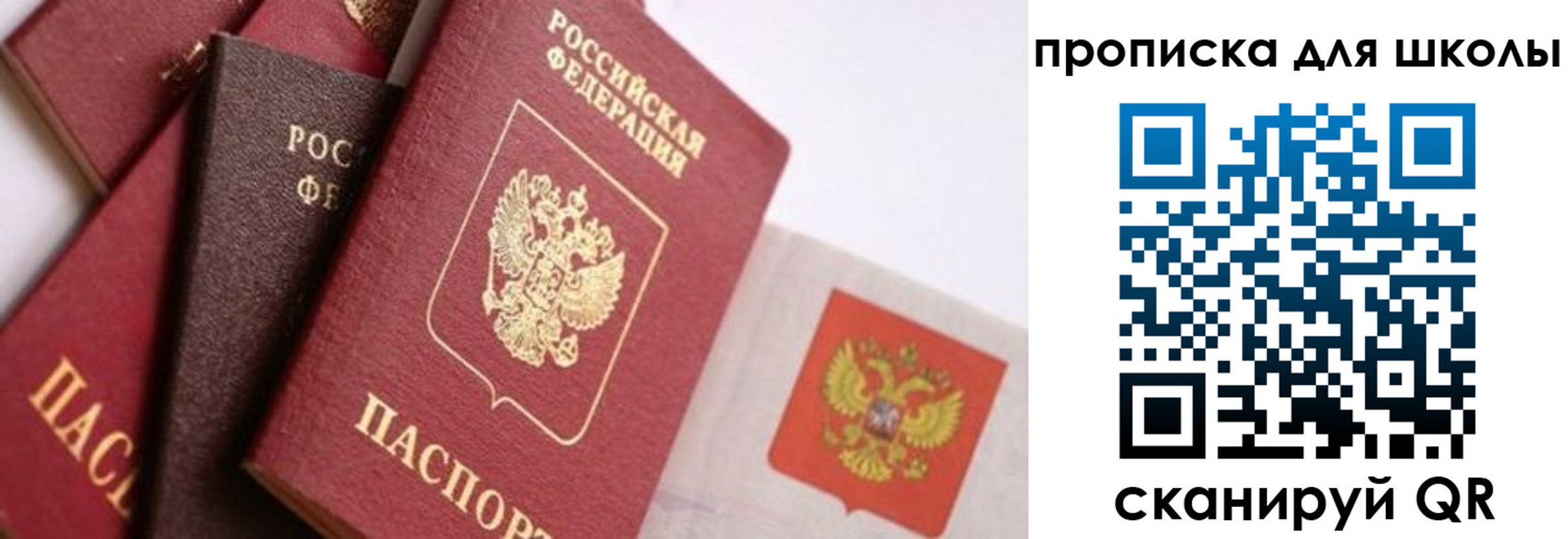 прописка поиск в Гудермесе